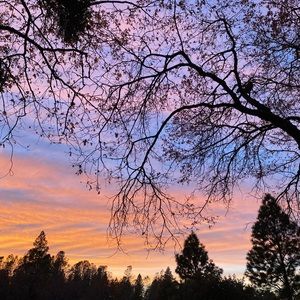 Meet your Posher, Tucker